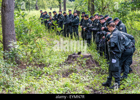 Les unités de police anti-émeute des recherches dans une région boisée de traces des disparus Annette L., qui a disparu depuis 5 ans. Banque D'Images