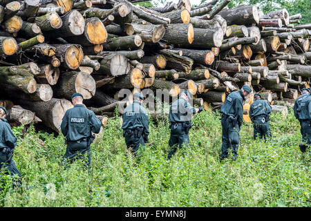 Les unités de police anti-émeute des recherches dans une région boisée de traces des disparus Annette L., qui a disparu depuis 5 ans. Banque D'Images