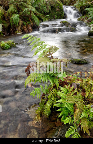 Rivière qui coule dans la région de derwentwater le parc national du Lake District, Cumbria, Angleterre Banque D'Images