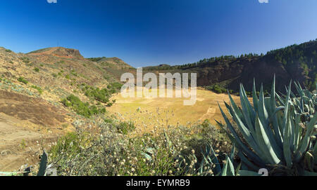 Gran Canaria, caldera de los marteles, caldeira avec champs en bas à sec Banque D'Images