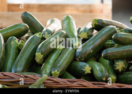 Les courgettes sur l'affichage pour la vente au marché d'agriculteurs Banque D'Images