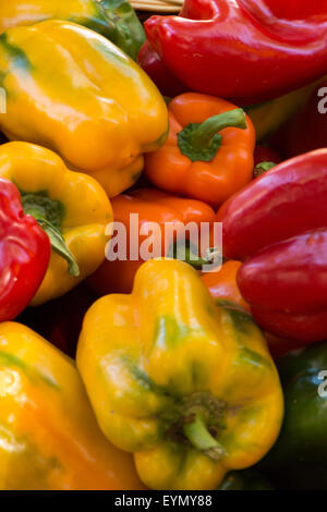 Poivrons de couleur sur l'écran pour la vente au marché d'agriculteurs Banque D'Images