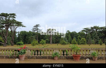 Vue de la terrasse sur le parc à Ickworth House, Horringer, Bury St Edmunds, Suffolk, East Anglia, Angleterre, Royaume-Uni. Banque D'Images