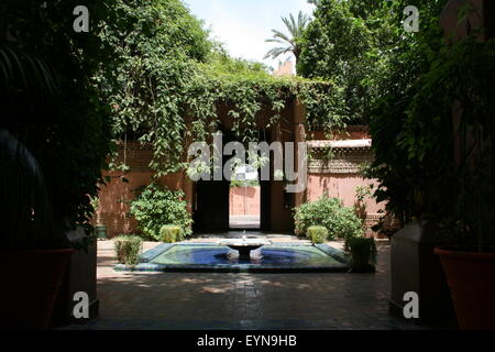 Jardins Majorelle (jardins d'Yves Saint-Laurent), Marrakech, Maroc, Afrique du Nord, Afrique Banque D'Images