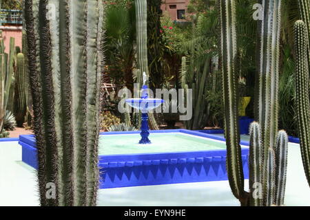 Jardins Majorelle (jardins d'Yves Saint-Laurent), Marrakech, Maroc, Afrique du Nord, Afrique Banque D'Images