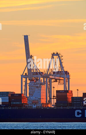 Atsunset grues à conteneurs, le terminal à conteneurs de Deltaport, Roberts Bank, en Colombie-Britannique Banque D'Images