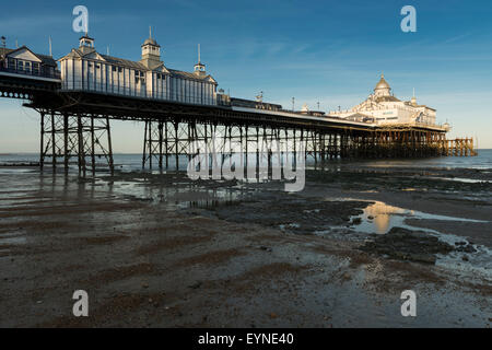 La jetée d''Eastbourne, vue du rivage à marée basse. East Sussex, England, UK. Banque D'Images