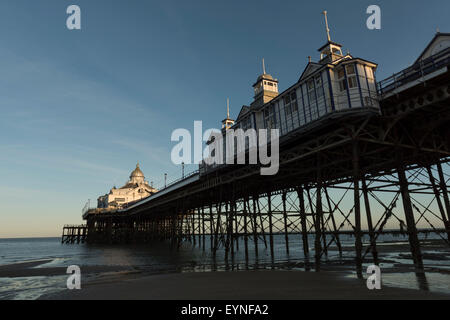 La jetée d''Eastbourne, vue du rivage à marée basse. East Sussex, England, UK. Banque D'Images