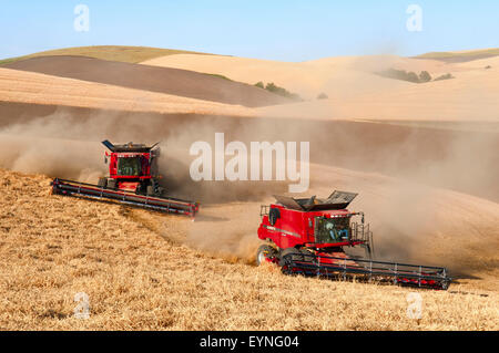 Plusieurs cas combine la récolte du blé sur les collines de la région de Washington Palouse Banque D'Images