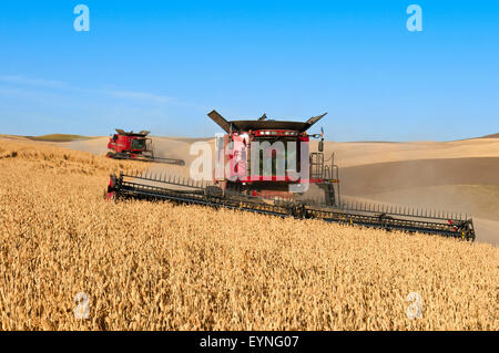 Plusieurs cas combine la récolte du blé sur les collines de la région de Washington Palouse Banque D'Images