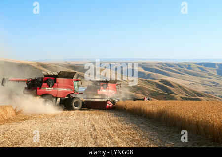 Plusieurs cas combine la récolte du blé sur les collines de la région de Washington Palouse Banque D'Images