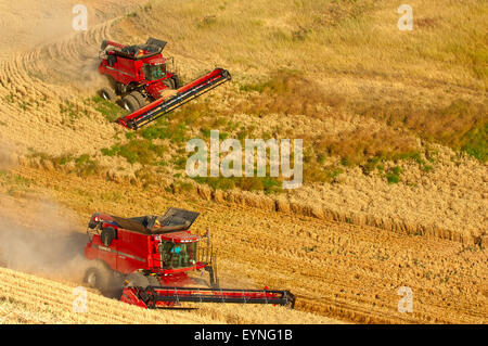 Plusieurs cas combine la récolte du blé sur les collines de la région de Washington Palouse Banque D'Images