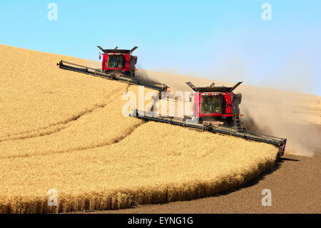 Plusieurs cas combine la récolte du blé sur les collines de la région de Washington Palouse Banque D'Images