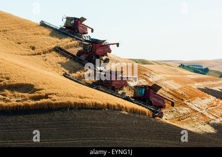 Plusieurs cas combine la récolte du blé sur les collines de la région de Washington Palouse Banque D'Images