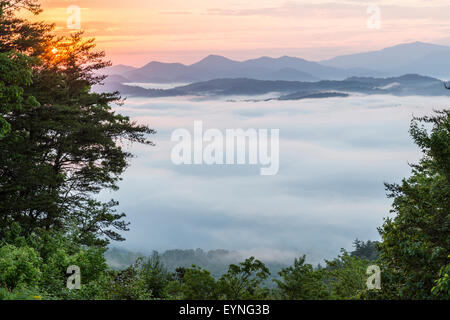 Vallée couverte de brouillard avec les Great Smoky Mountains en arrière-plan. Lever du soleil au Tennessee. paysage américain Banque D'Images