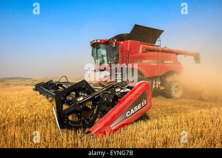 Les récoltes de la moissonneuse-batteuse de cas du blé sur les collines de la région de Washington Palouse Banque D'Images