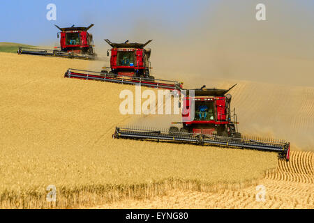 Plusieurs cas combine la récolte du blé sur les collines de la région de Washington Palouse Banque D'Images