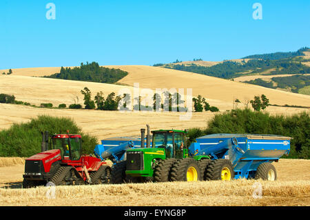 Deux tracteurs tirant des chariots à grain corné pour décharger la Palouse combine en région de Washington Banque D'Images