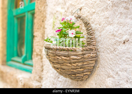 Cache-pot sur le mur Banque D'Images