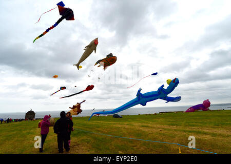 Downhill Demesne Kite Festival, le comté de Londonderry, Irlande du Nord, Royaume-Uni. 2 Août, 2015. La fusion de l'équipe de Kite, de la nord-ouest de l'Angleterre, offre une exposition de cerfs-volants, avec un tableau de figures d'animaux, à la descente Demesne Kite Festival à la propriété du National Trust, Castlerock dans comté de Derry. Crédit : George Sweeney / Alamy Live News Banque D'Images