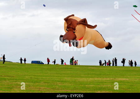 Downhill Demesne Kite Festival, le comté de Londonderry, Irlande du Nord, Royaume-Uni. 2 Août, 2015. La fusion de l'équipe de Kite, de la nord-ouest de l'Angleterre, offre une exposition de cerfs-volants, avec un tableau de figures d'animaux, à la descente Demesne Kite Festival à la propriété du National Trust, Castlerock dans comté de Derry. Crédit : George Sweeney / Alamy Live News Banque D'Images