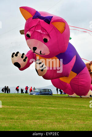 Downhill Demesne Kite Festival, le comté de Londonderry, Irlande du Nord, Royaume-Uni. 2 Août, 2015. La fusion de l'équipe de Kite, de la nord-ouest de l'Angleterre, offre une exposition de cerfs-volants, avec un tableau de figures d'animaux, à la descente Demesne Kite Festival à la propriété du National Trust, Castlerock dans comté de Derry. Crédit : George Sweeney / Alamy Live News Banque D'Images