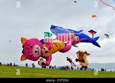 Downhill Demesne Kite Festival, le comté de Londonderry, Irlande du Nord, Royaume-Uni. 2 Août, 2015. La fusion de l'équipe de Kite, de la nord-ouest de l'Angleterre, offre une exposition de cerfs-volants, avec un tableau de figures d'animaux, à la descente Demesne Kite Festival à la propriété du National Trust, Castlerock dans comté de Derry. Crédit : George Sweeney / Alamy Live News Banque D'Images