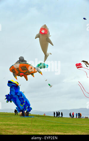 Downhill Demesne Kite Festival, le comté de Londonderry, Irlande du Nord, Royaume-Uni. 2 Août, 2015. La fusion de l'équipe de Kite, de la nord-ouest de l'Angleterre, offre une exposition de cerfs-volants, avec un tableau de figures d'animaux, à la descente Demesne Kite Festival à la propriété du National Trust, Castlerock dans comté de Derry. Crédit : George Sweeney / Alamy Live News Banque D'Images