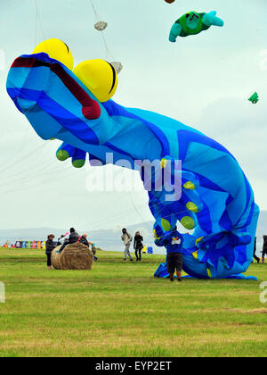 Downhill Demesne Kite Festival, le comté de Londonderry, Irlande du Nord, Royaume-Uni. 2 Août, 2015. La fusion de l'équipe de Kite, de la nord-ouest de l'Angleterre, offre une exposition de cerfs-volants, avec un tableau de figures d'animaux, à la descente Demesne Kite Festival à la propriété du National Trust, Castlerock dans comté de Derry. Crédit : George Sweeney / Alamy Live News Banque D'Images