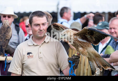 CLA Game Fair 2015 Harewood Banque D'Images