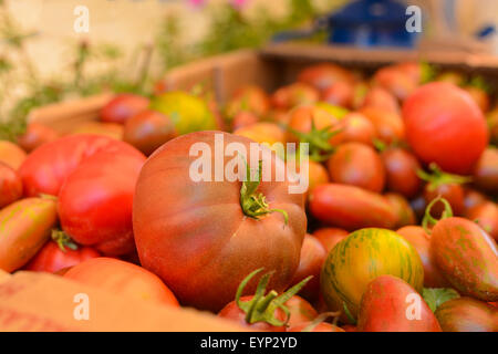 Marché à tomates Banque D'Images