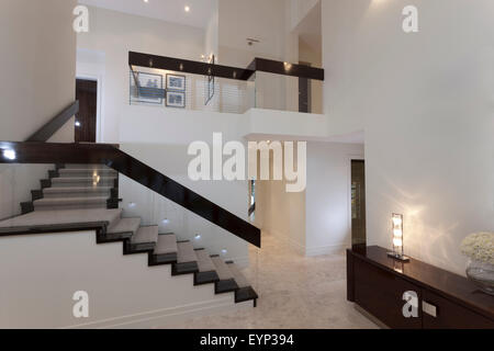 Spacieuse avec un escalier dans une maison moderne, réchauffés avec les œuvres sur les murs Banque D'Images