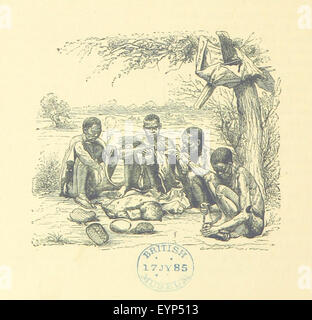 Image prise à partir de la page 794 de "La vie et les découvertes de David Livingstone ... avec ... sur bois, etc. L'édition picturale' image prise à partir de la page 794 de "La vie et les découvertes de Banque D'Images