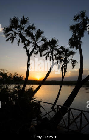 Coucher de soleil sur Doho Hot Springs, Parc national Awash, en Éthiopie Banque D'Images