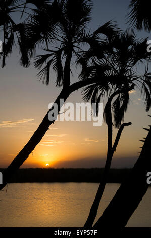 Coucher de soleil sur Doho Hot Springs, Parc national Awash, en Éthiopie Banque D'Images