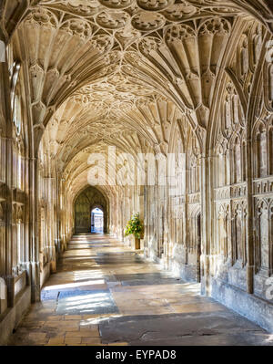 Grand Cloître de la cathédrale de Gloucester, l'emplacement pour plusieurs des films de Harry Potter, Gloucester, Gloucestershire, England, UK Banque D'Images