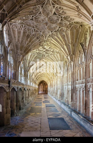 Grand Cloître de la cathédrale de Gloucester, l'emplacement pour plusieurs des films de Harry Potter, Gloucester, Gloucestershire, England, UK Banque D'Images