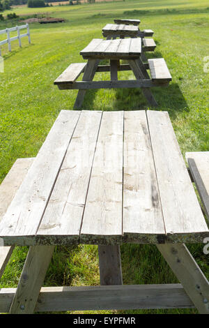 Rangée de tables de pique-nique sur une colline. Banque D'Images