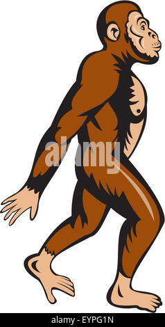 Illustration d'un homme de Neandertal marcher depuis le côté isolé sur fond blanc fait dans un style de dessin animé. Banque D'Images