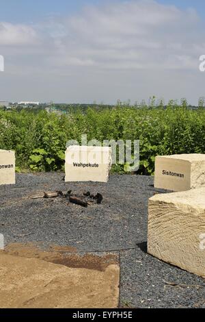 Une section du conseil de forêt donnent sur le bouton Pilote au site de préservation à Mendota Heights, Minnesota. Banque D'Images