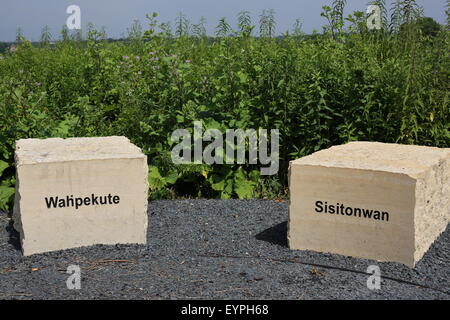 Une section du conseil de forêt donnent sur le bouton Pilote au site de préservation à Mendota Heights, Minnesota. Banque D'Images