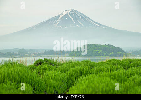 Le Mt Fuji au matin à kawaguchi, Japon Banque D'Images