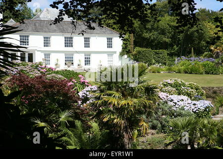 Trebah gardens Cornwall en août Banque D'Images