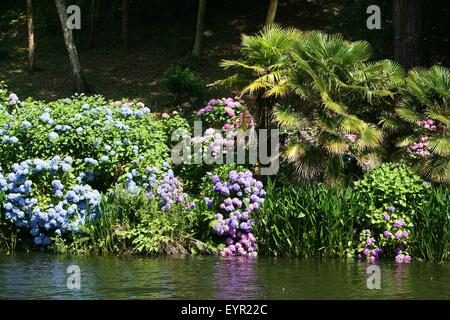 Trebah gardens Cornwall en août Banque D'Images