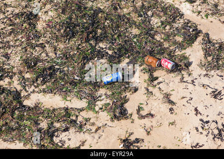 Ligne de rivage à marée haute avec des canettes de boissons et d'algues mortes. Banque D'Images