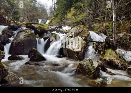 Rivière de montagne dans les Pyrénées printemps Banque D'Images