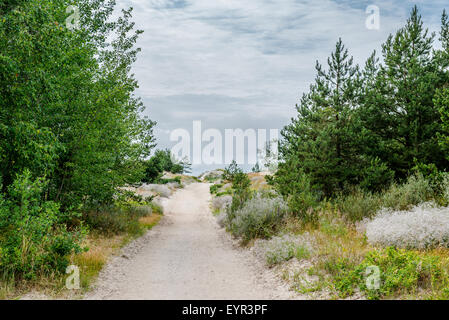 Sentier de sable à la mer Baltique Banque D'Images