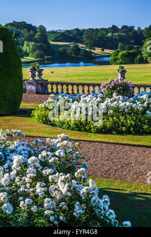 Vue depuis la terrasse de Bowood House dans le Wiltshire. Banque D'Images