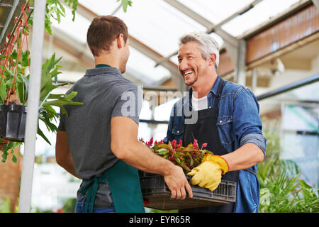 Deux hommes heureux de travailler ensemble comme jardinier dans les jardins d'shop Banque D'Images