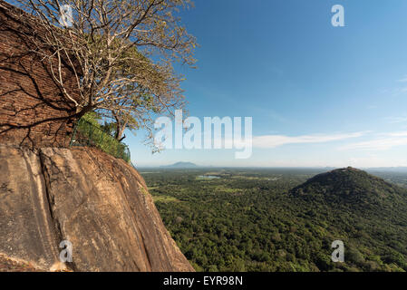 Paysage vu du haut de la forteresse du Rocher de Sigiriya, Sri Lanka Banque D'Images